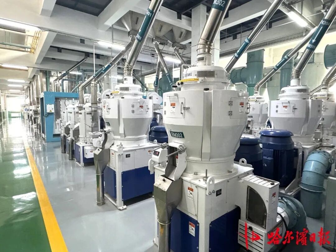 一粒方正大米，带你体验从稻谷到餐桌米饭的沉浸式“智造之旅”